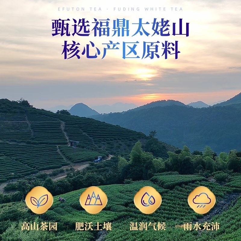 老陈醋 500ml
