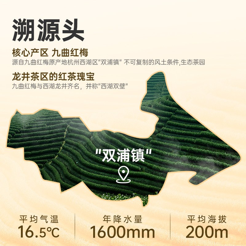 狮峰牌九曲红梅茶杭州特产龙井红茶特级工夫红茶叶6g