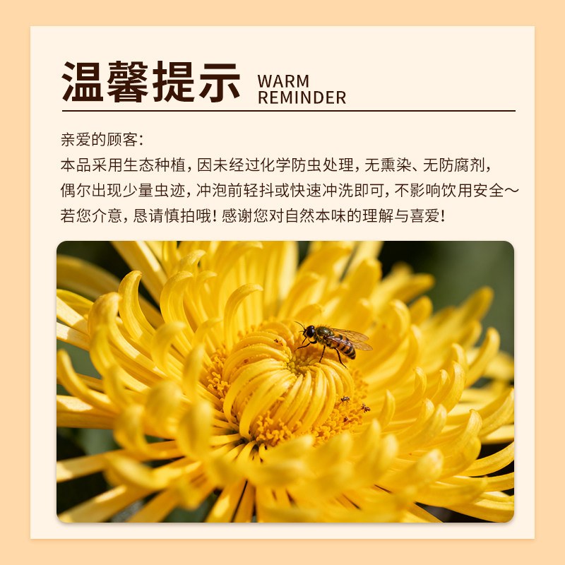 福东海金丝皇菊黄菊胎贡菊花茶去火非特级决明子金银花草茶大菊花